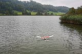 Wasserfliegen Bichelsee 2021