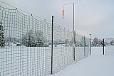 Schneefliegen 2021